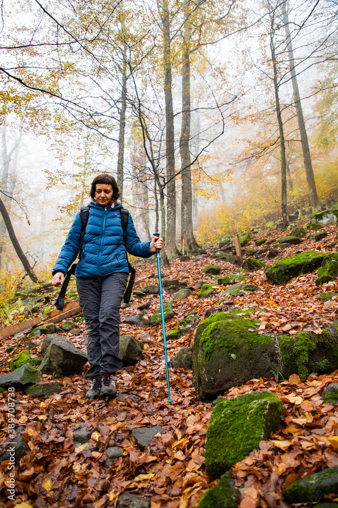 woman trekking in beautiful autumn forest woman trekking in beautiful autumn forest