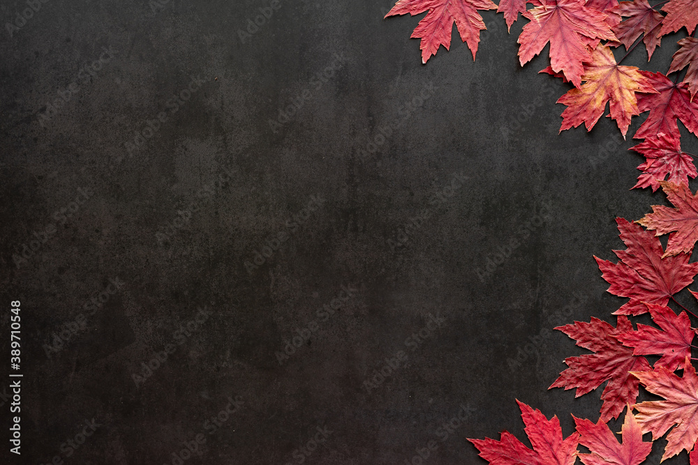 Autumn leaves over black stone background with copy space. Maple red leaves Autumn leaves over black stone background with copy space. Maple red leaves