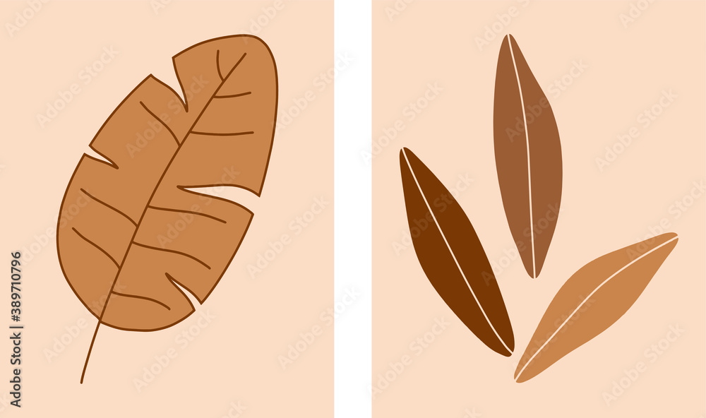 botanical leaves shape nordic art brown and neutral colors vector set illustration botanical leaves shape nordic art brown and neutral colors vector set illustration