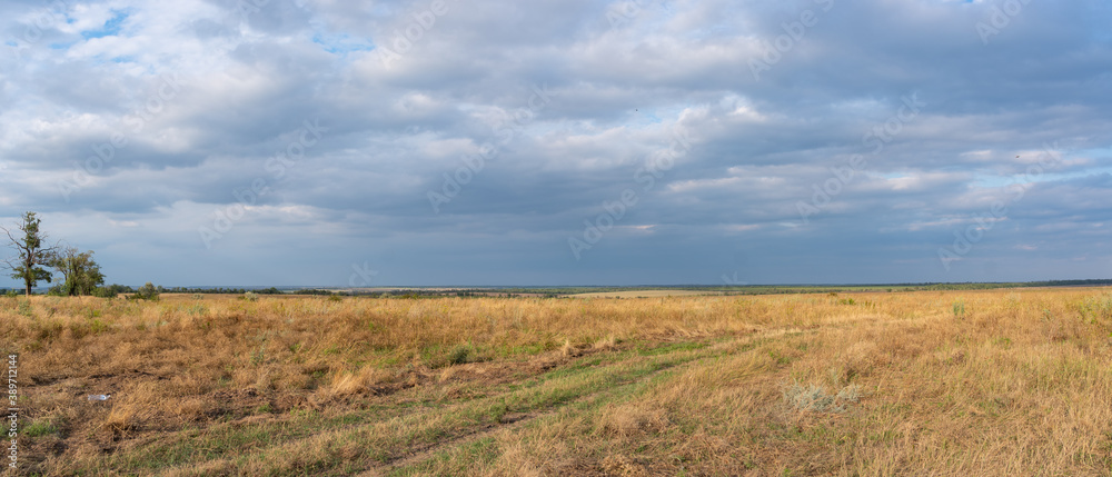 Panorama. Rural landscape, meadow with dry grass on blue sky with clouds background