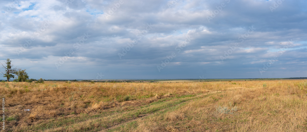 Panorama. Rural landscape, meadow with dry grass on blue sky with clouds background Panorama. Rural landscape, meadow with dry grass on blue sky with clouds background