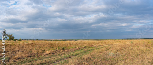 Fototapeta Naklejka Na Ścianę i Meble -  Panorama. Rural landscape, meadow with dry grass on blue sky with clouds background