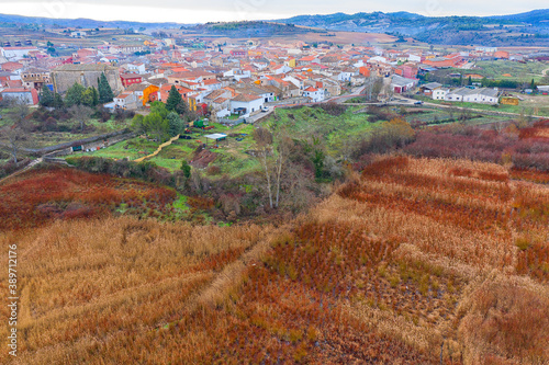 Spain, Cuenca, Wicker cultivation in Canamares in autumn photo