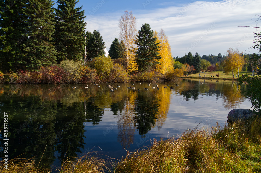 Autumn Season at a Pond
