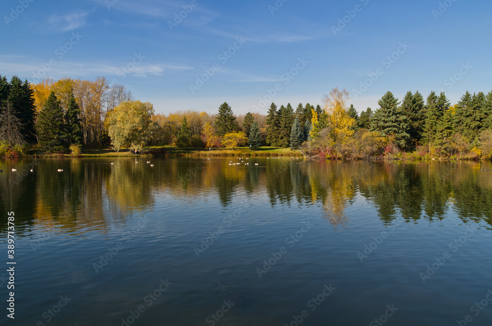 Autumn Season at a Pond