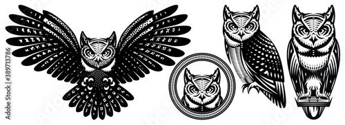 A set of owls in different positions. Vector monochrome illustration. Templates for design, tattoo, print, advertising poster