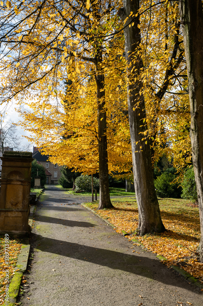 Naklejka premium Herbst auf einem Friedhof