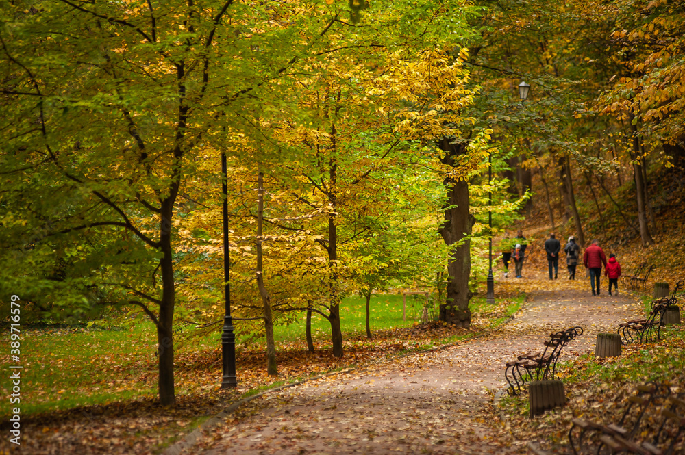 Benches in the autumn park in the city Benches in the autumn park in the city