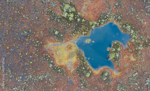 Aeraial top down view on the bog lake and peatland photo