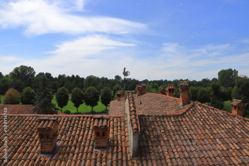 TETTO DI TEGOLE ROSSE E CAMINI, ROOF OF RED TILES AND CHIMNEYS