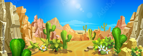 A large sandy desert with rocks, cacti and other desert vegetation. Territory with a hot climate.