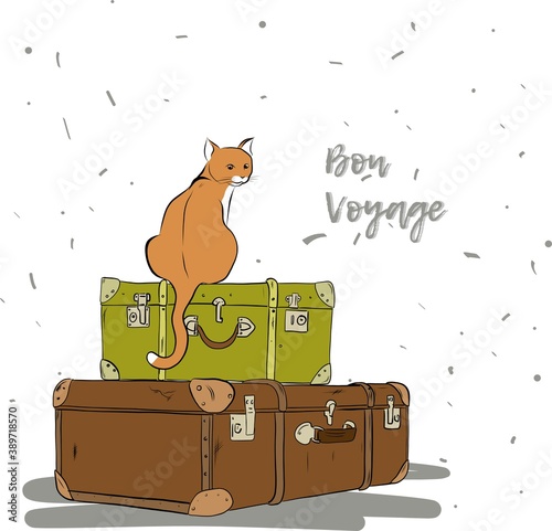 Cute cat sitting on the couple of suitcases, bon voyage illustration, travelling card, good trip wish