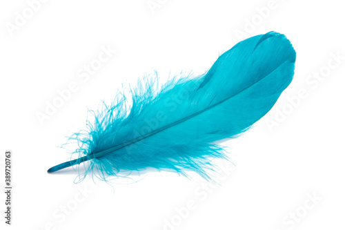 Fototapeta Blue fluffy feather isolated on the white