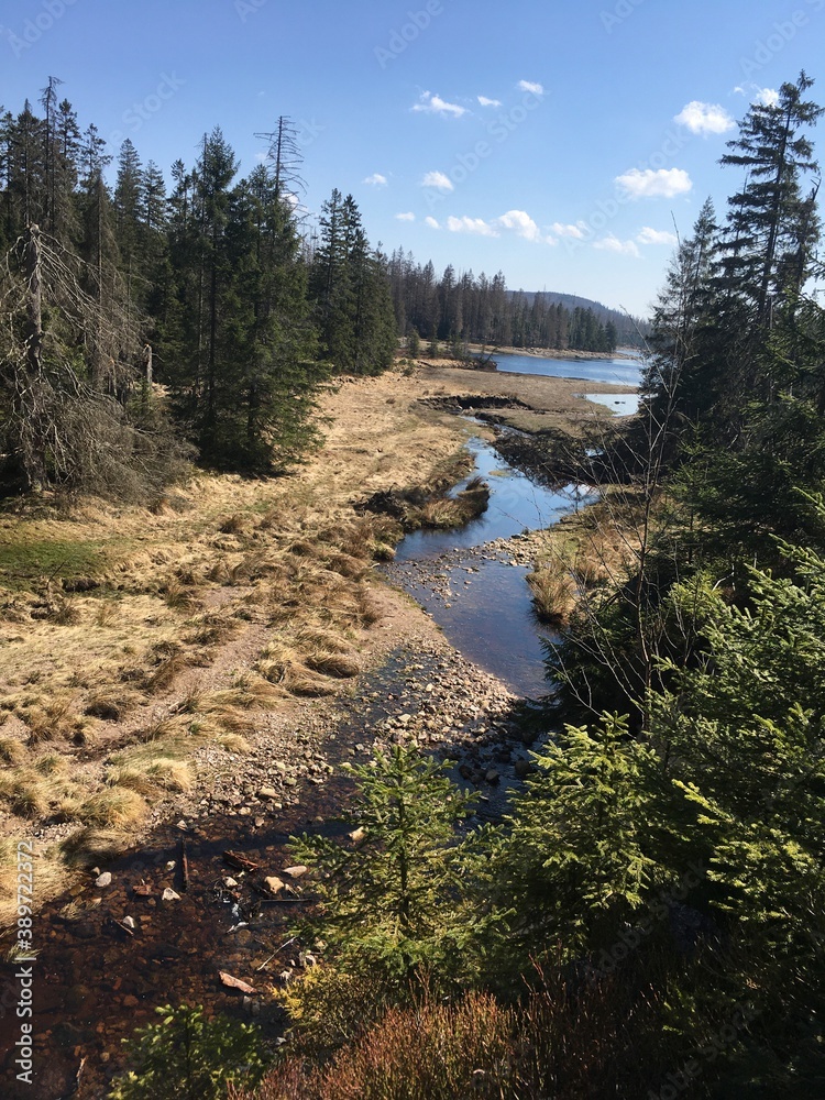 Wandern um den Oderteich bei Andreasberg