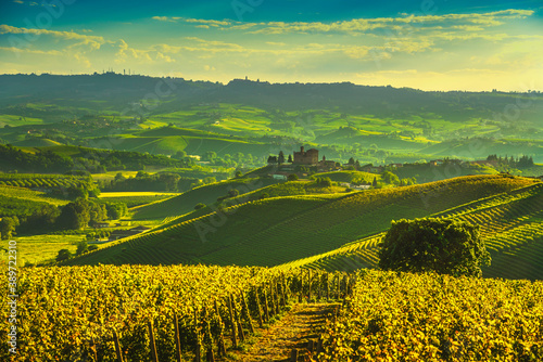 Tableau sur toile Langhe vineyards sunset panorama, Grinzane Covour, Piedmont, Italy Europe
