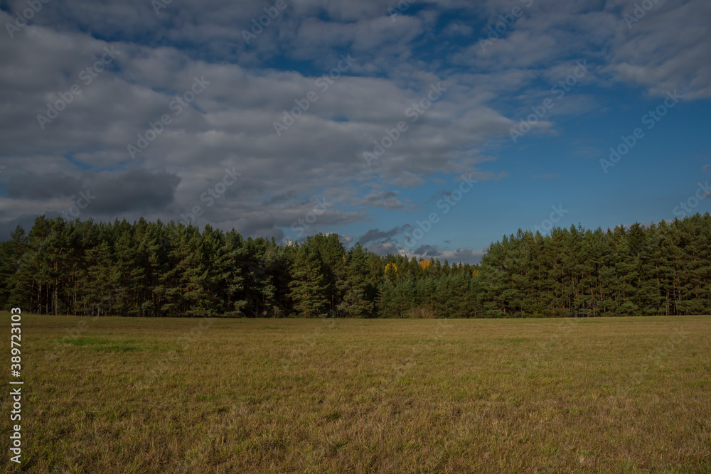 Meadows and pasture land near Bezdruzice and Konstantinovy Lazne spa towns Meadows and pasture land near Bezdruzice and Konstantinovy Lazne spa towns