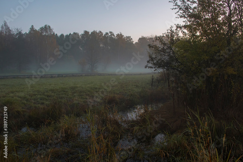 An early morning in the meadows of Kampinos National Park. The fog is covering the bushes and trees and makes their silhouettes blurry.