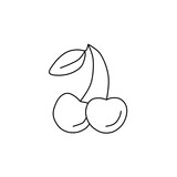 Cherry sketch. Fruits  illustration