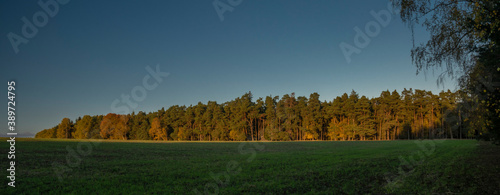 Big color meadows and forest with sunset sky near Utery town photo