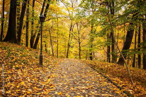 Beautiful autumn park in the city