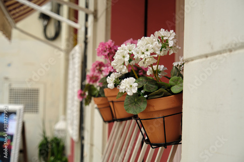 Fototapeta Naklejka Na Ścianę i Meble -  on the street Windows with flowers