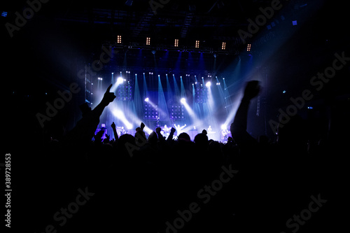 Partying Crowd on a Concert