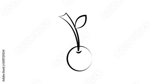 cherry on a white background, red berry, vector illustration. black and white drawing in pencil sketch style. mouthwatering cherry, sweet sugar dessert, cherry delight