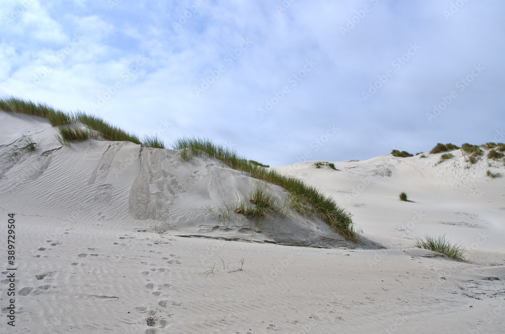 Dune en Normandie