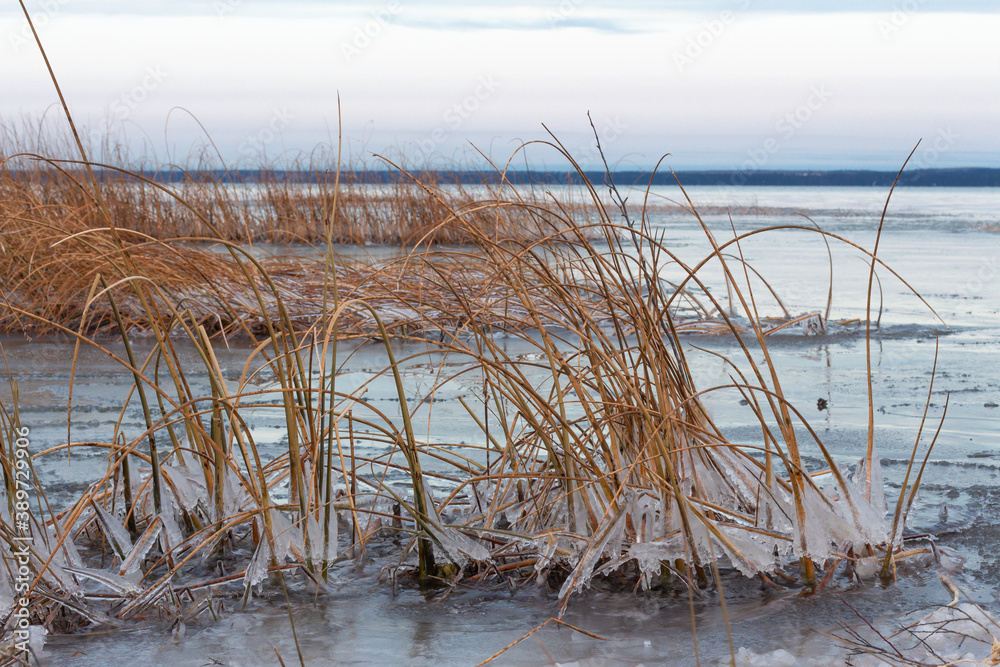 Lake beginning to freeze in fall at sunset, Saskatchewan Canada Lake beginning to freeze in fall at sunset, Saskatchewan Canada