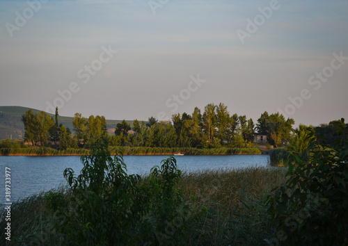 lush green lake