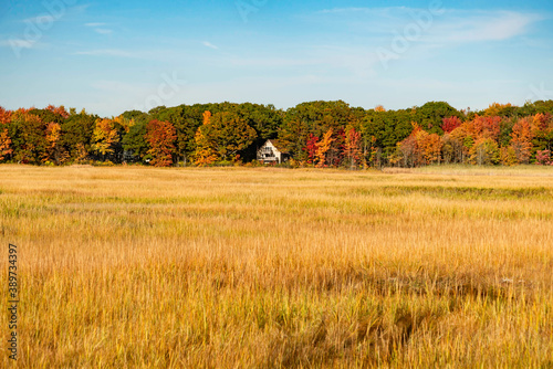 Fotografía Autumn foliage and reflection in Maine landscape.
