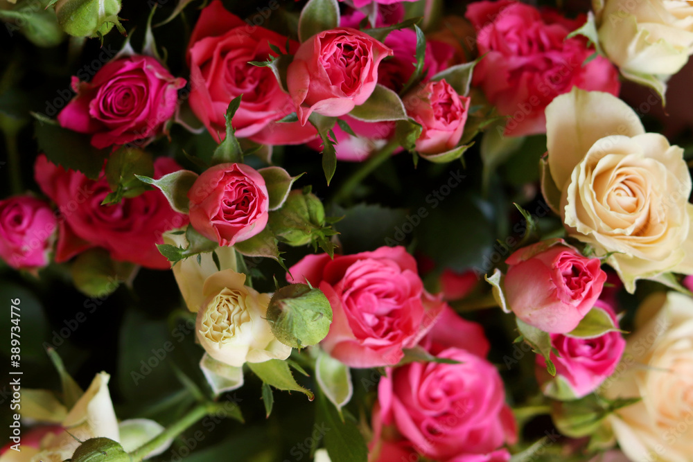 Background of pink and yellow roses Background of pink and yellow roses