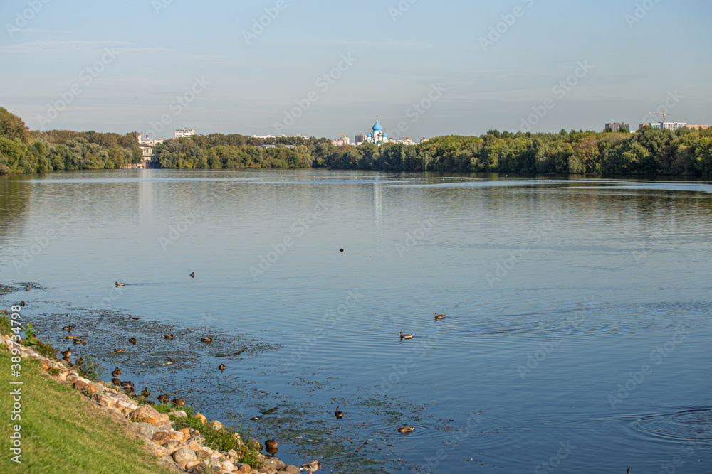 Φωτογραφία Ducks on the river in the Moscow City. Birds in the city.