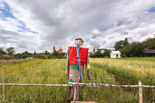 Funny Scarecrow in a green barley field. Beautiful sky and village in the distance
