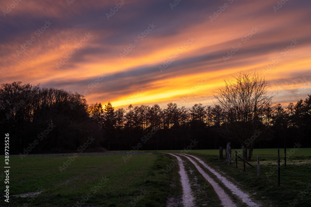 Dirt road leading up the Veluwe Forest and National Park in the Netherlands near Loenen at sunset.