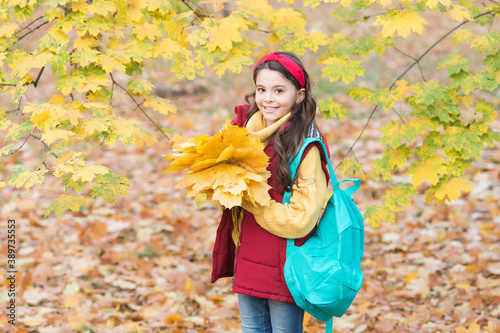 Lucky to start the day here. autumn kid fashion. romantic season for inspiration. happy childhood. back to school. teenage girl hold maple leaves in park. fall season beauty. enjoy day in forest