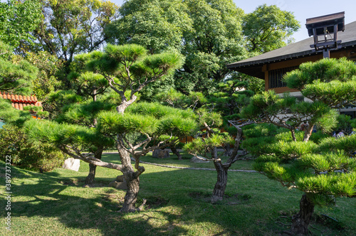 Jardin japonais de Buenos Aires, Argentine photo