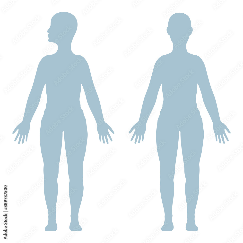 The female human body. Healthcare infographic elements. Vector illustration isolated on white background.