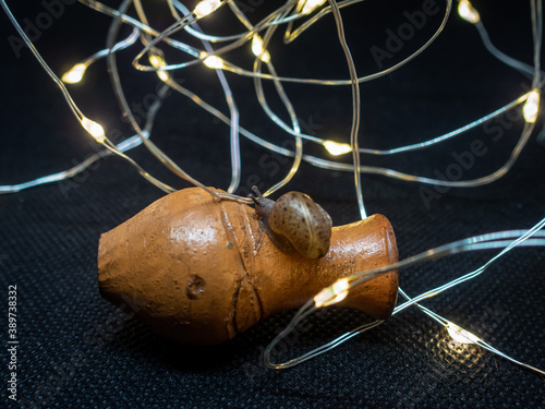 A small snail is crawling along the New Year's garland.