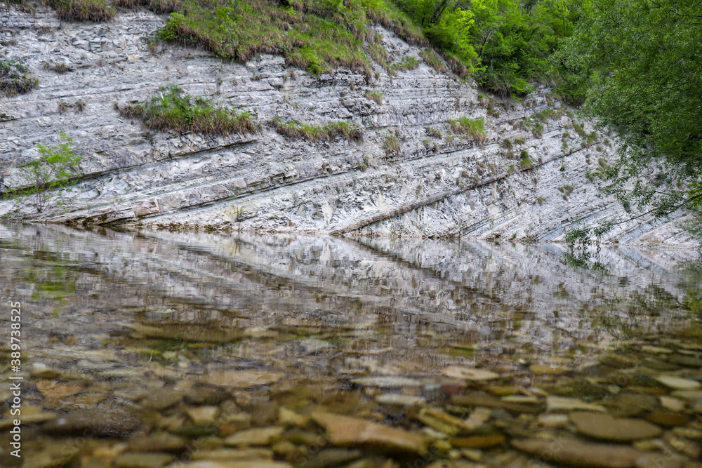 Fototapeta premium moss on the stone