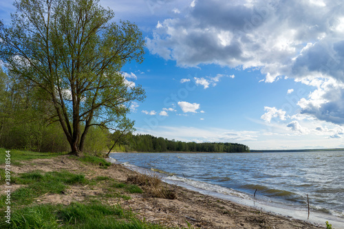 Fototapeta Naklejka Na Ścianę i Meble -  Lake Bolshie Shvakshty near Naroch in Republic of Belarus
