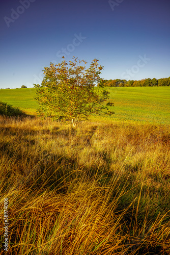 Paysage Campagne 734