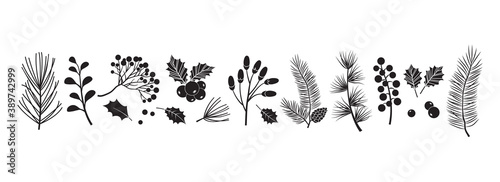 Christmas vector plants, holly berry, christmas tree, pine, leaves branches, holiday decoration, winter symbols isolated on white background. Black silhouettes. Vintage nature illustration