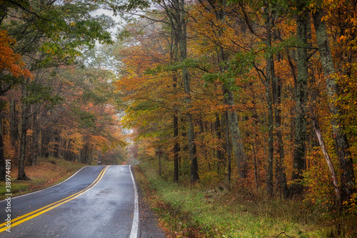 Autumn Color on a Rural West Virginia Road