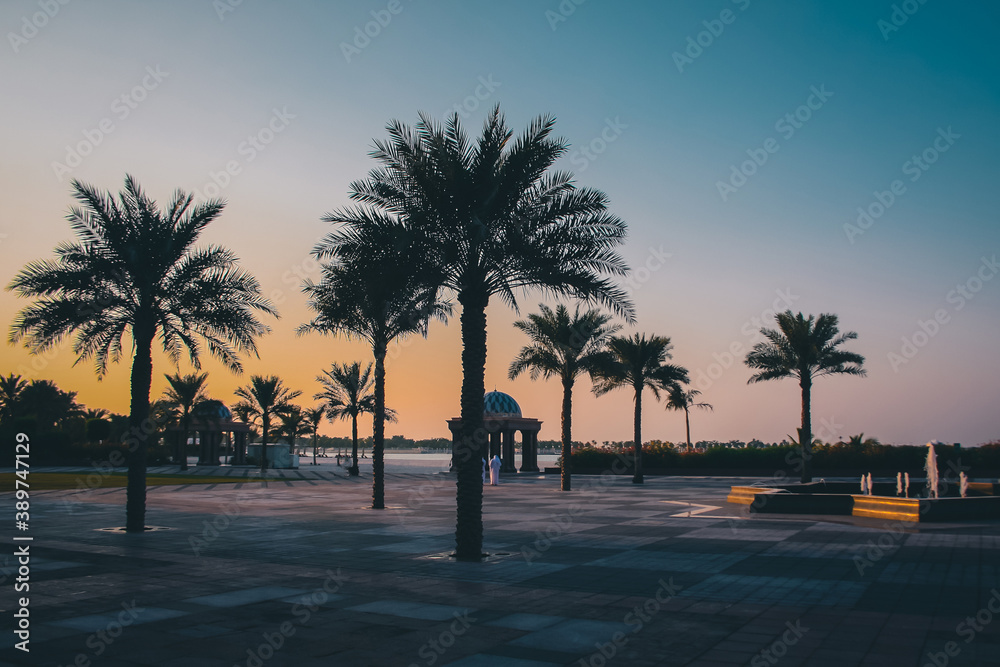 Evening setting at the beach at Abu Dhabi, UAE, with visible beautiful palms and rich colors of the sunset.
