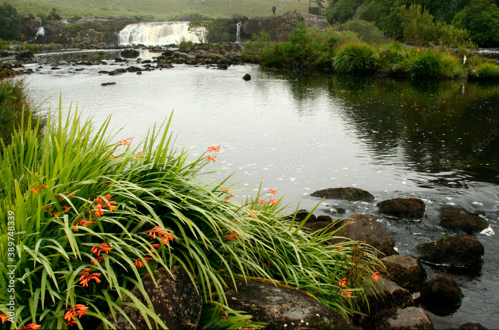 Salmon pool below Lower Assleigh Falls on the Errif River in County Mayo, Ireland Salmon pool below Lower Assleigh Falls on the Errif River in County Mayo, Ireland