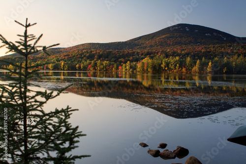 reflection of trees in the water