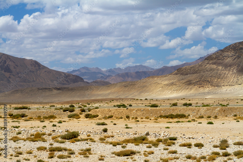 .Great Pamir Highway, desert landscape with sparse vegetation