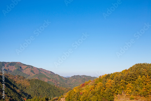 南木曽の山