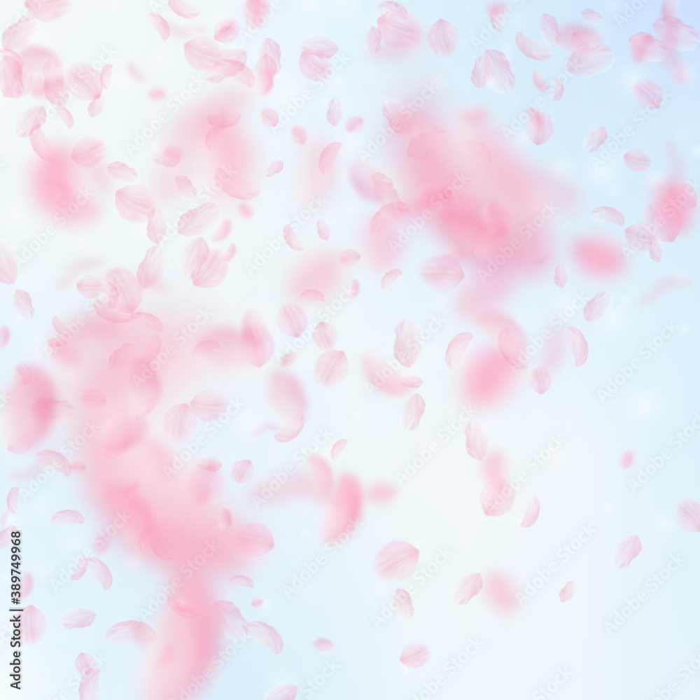 Sakura petals falling down. Romantic pink flowers 